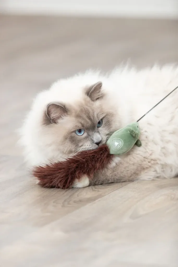 Spielangel mit Maus